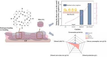 Facile co-deposition of folic acid and polydopamine: Regulation of surface roughness on yeast adhesion in the continuous fermentation
