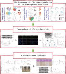 Xiaoyao San reverses the pro-breast cancer effect of depression by inhibiting glutamate levels in intestinal flora