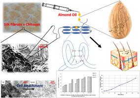 Silk based freeze gelated antibacterial 3D scaffolds for enhanced wound healing