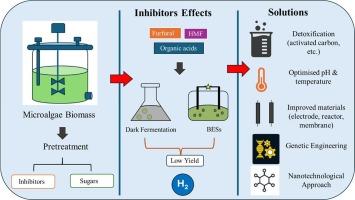 Innovative strategies for enhancing microalgae-based biohydrogen production: A review