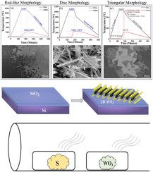 Tuning growth parameter for the controlled synthesis of 2D WS2