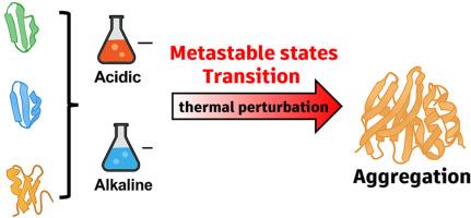 Uncovering pH-driven metastable transitions and thermal aggregation of HMW-GSs via all-atom molecular dynamics simulations