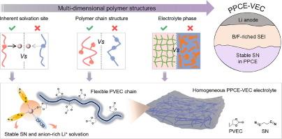 Multi-dimensional optimization of polymer-involved Li+ solvation enabling stable polymer plastic crystal electrolyte for long-cycle lithium metal batteries