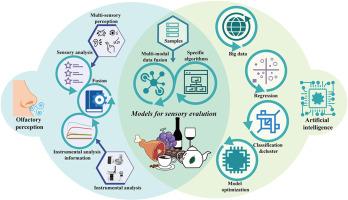Artificial intelligence for flavor perception: Integrating olfactory mechanisms into food group sensory evaluation