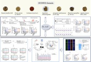 Clarification of the Yin-Jing medicinal property characteristic of Ligusticum chuanxiong Hort. via potentiating therapeutic effect, guidance and targetability