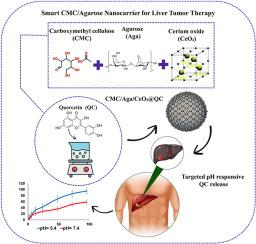 Machine learning models predict pH-responsive drug release from liver-targeted agarose-CMC-CeO2 nanocomposites: Liver-targeted antioxidant strike
