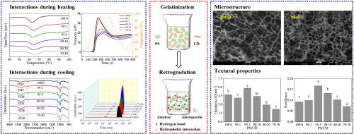 Curdlan modulates potato starch gelatinization and gelation: Mechanisms of interaction, structural enhancement, and texture improvement in hydrogel foods