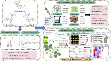 Enantioselective evaluation of the chiral pesticide cyclaniliprole: Bioactivity, toxicity, and effects on strawberries flavor quality