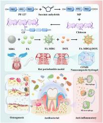 Thermosensitive antibacterial nanocomposite hydrogel guiding macrophage polarization and bone regeneration for periodontitis treatment