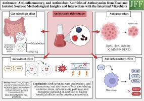 Antitumor, anti-inflammatory, and antioxidant activities of anthocyanins from food and isolated sources: Methodological insights and interactions with the intestinal microbiota