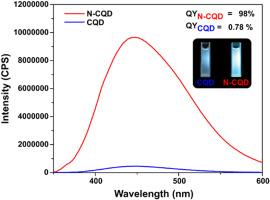 Nitrogen-doped carbon quantum dots from biomass: Fast microwave synthesis and dual application in biomaterials and bioimaging in vitro
