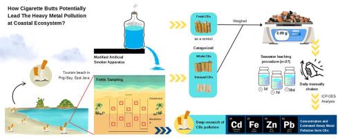 Spatial distribution and heavy metal leaching assessment of cigarette butts in coastal environments: Evidence from Prigi Bay, Indonesia