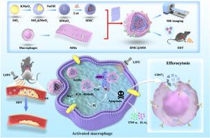 A biomimetic nanoplatform for endogenous self-replenishing of oxygen to promote sonodynamic therapy for targeted ablation of activated macrophages in atherosclerotic plaques
