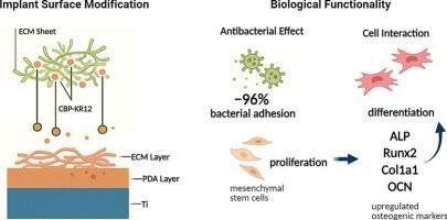 KR12 peptide-modified ECM coating for enhanced osteogenic and antimicrobial activity of titanium surfaces