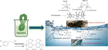Exploring the removal of flame retardants and chlorobenzenes by plastic-based materials