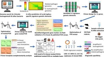 In silico identification and field validation of diagnostic marker gene targets for the improved detection of scrub typhus