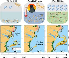 Influence of the strong 2015/16 El Niño and extreme rainfall events on micro- and mesozooplankton in a coastal pelagic ecosystem of the western tropical Atlantic