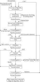 Magnesium Products from Associated High-Mineralized Chloride Brines