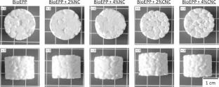 A New Expanded Bead Foam Based on Bio-polypropylene (BioEPP): Fabrication and Reinforcement with Nanoparticles