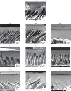 Effect of the Molecular Weight of Polyacrylic Acid in the Coagulation Bath on Structure and Properties of Polysulfone Membranes Modified with Polyethylene Glycol and Polypropylene Glycol Block Copolymer