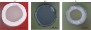 Approbation of Polysulfone Membranes for Selective Recovery of Ammonium from Aqueous Solutions Using Liquid–Liquid Membrane Contactors
