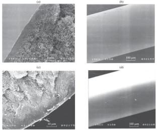 Gas-Phase Fluorination of Hollow Fibers from Matrimid 5218® for Biogas Conditioning