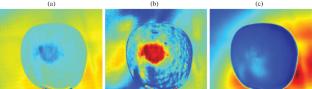Nondestructive Detection of Mechanical Damages in Apples Using Pulsed Infrared Thermography