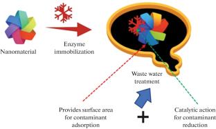 A Novel and Sustainable Approach for Wastewater Treatment and Contaminant Removal by Biohybrids: Contemporary Situations and Prospective Futures