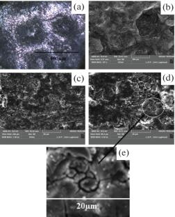 Effects of Heterogeneous Weak Perpendicular Homogeneous Permanent Magnetic Field and Mechanical Polishing on Corrosion Behavior of the Surface of Aluminum Sand Cast Alloy AlSi10Cu(Fe) in Contact with Sand