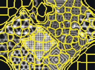 Abstract Image