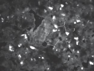 Potential for Using Cobalt Concentrate Waste in the Production of Ceramic Products