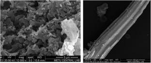 Stabilization of an expansive clay containing sulfate with Soma fly ash