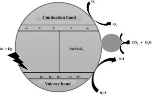Nd/MnO2 Bio-nanomaterial: Synergistic Enhancement of Antimicrobial Activity and Photocatalytic Dye Degradation