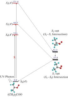 Isomerization and Dissociation of (CH3)2COO Criegee Intermediate: Ab Initio and RRKM Study