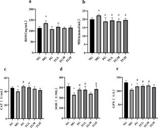 The ameliorative effect of Lactiplantibacillus plantarum SCS2 on DSS-induced murine colitis