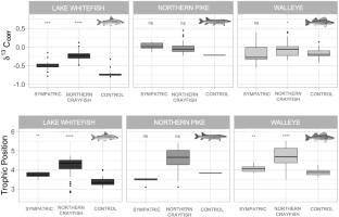 Community trophic structure within reservoirs changes in the presence of invasive Chinese mystery snail (Cipangopaludina chinensis) and northern crayfish (Faxonius virilis)