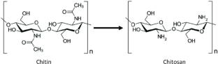 A DFT-based investigation of chitin-to-chitosan transition: effects of N-acetylation on structure and reactivity