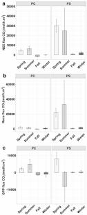 Carbon dynamics in coastal epibenthic hypersaline microbial mats from semiarid areas