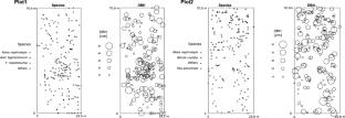 Size-dependent mortality of Khingan fir tree in old-growth forests: a spatial point pattern analysis