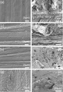 Structural, thermal and mechanical analyses of banana midrib fiber reinforced polypropylene composite of improved properties