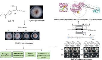 Characteristics of ZJS-178 resistant mutants of Fusarium pseudograminearum