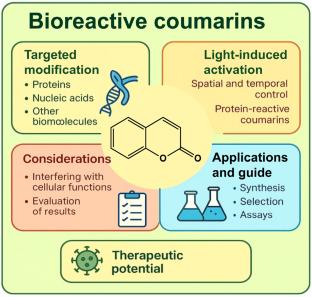 Bioactive Coumarins: Bioorganic Strategies for Targeting Enzymes, Receptors, and DNA