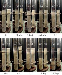 Application of Wave Resonance Effects to Intensify the Process of Forming Dispersions Based on Chitosan and Montmorillonite