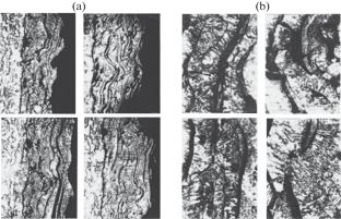 Development and Study of Highly Efficient Porous Molybdenum Powder for Friction Plasma Coatings for Operation in Oil