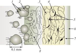 Study of the Structure and Properties of Coatings Obtained by the High Velocity Oxygen Fuel Process