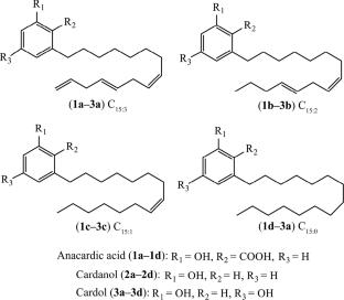 Antioxidant Profile of Anacardic Acid Derivatives and Their Effects on Oxidative Stress-Induced Diseases: An Update