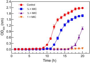 The Antibacterial Activity, Acute Toxicity, and Antibacterial Mechanism of 2,6-Dimethyl-4-aminophenol Hydrochloride
