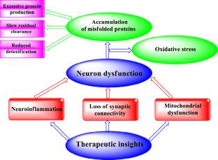 Coumarins as Emerging Agents in Neurodegenerative Disease Management