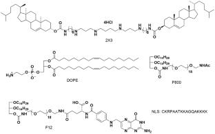 NLS Peptide Improves the Efficiency of pDNA Delivery into Eukaryotic Cells Mediated by Cationic Liposomes