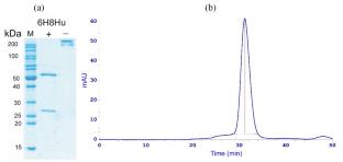 Study of the Antiproliferative Activity of a Humanized Antibody to the Cancer-Testis Antigen PRAME
